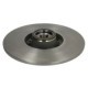 Disc frana BOSCH Spate Dreapta/Stanga cu inel ABS pentru RENAULT LAGUNA III, LATITUDE, TWINGO III, TWIZY 0.9-Electric 10.07