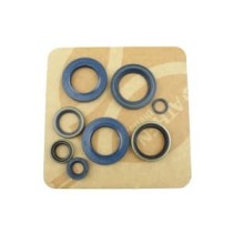 Set garnituri pentru motor ATHENA