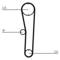 Curea de distributie CONTITECH