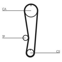 Set curea de distributie CONTITECH