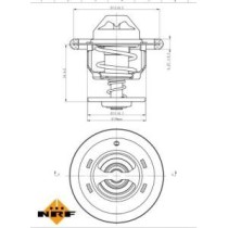 Termostat,lichid racire NRF