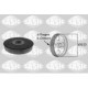 Fulie curea arbore cotit SASIC troliu Ford C-MAX 1.6 TDCi 09/03-07/03 diametru 153.0 mm latime 25.5 mm 6 dinti 6 nervuri