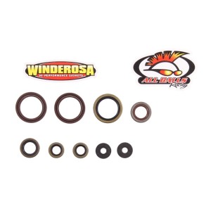 Set garnituri pentru motor WINDEROSA