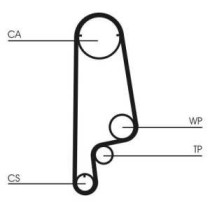 Curea de distributie CONTITECH