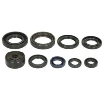 Set garnituri pentru motor ATHENA