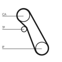 Set curea de distributie CONTITECH