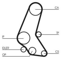 Set curea de distributie CONTITECH