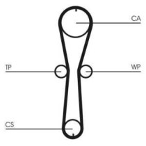 Set curea de distributie CONTITECH