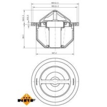 Termostat,lichid racire NRF