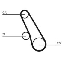 Set curea de distributie CONTITECH