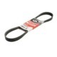 Curea transmisie cu caneluri GATES Multi-V-belt 903 mm 6 nervuri negru pentru CITROEN