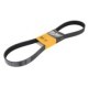 Curea transmisie cu caneluri CONTITECH Multi-V-belt 8PK1165 pentru MAN LION´S CITY, LION´S COACH, LION´S REGIO 1165 mm