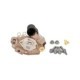 Regulator voltaj alternator VALEO Sistem electric motor Alternator Regulator alternator Eticheta printabila