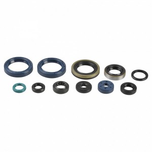 Set garnituri pentru motor ATHENA