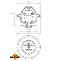 Termostat,lichid racire NRF