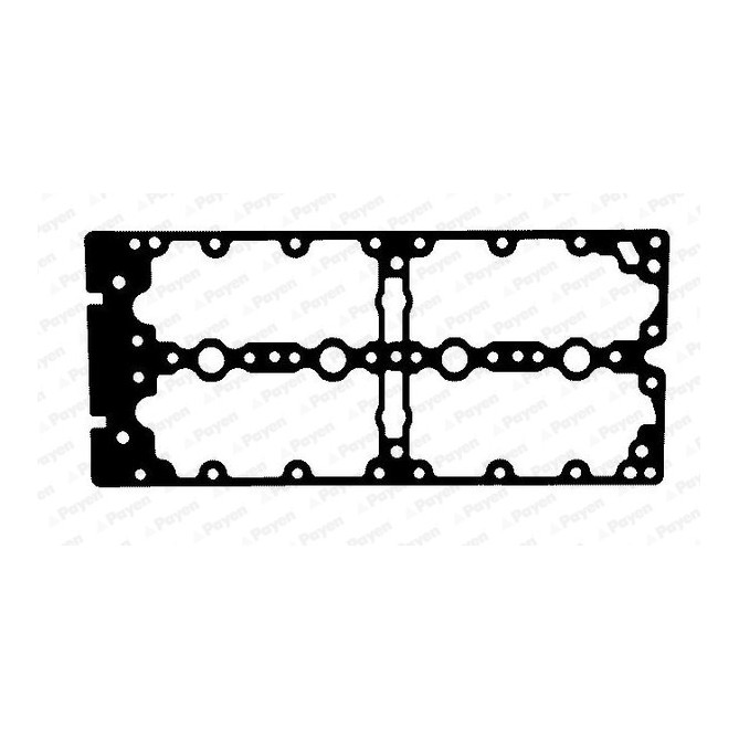 Garnitura, capac supape PAYEN