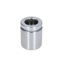 Piston, etrier frana AUTOFREN SEINSA