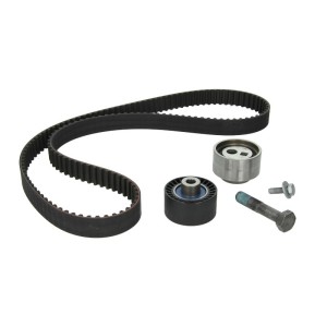 Set curea de distributie SKF