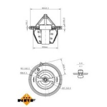 Termostat,lichid racire NRF