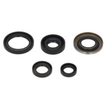 Set garnituri pentru motor WINDEROSA