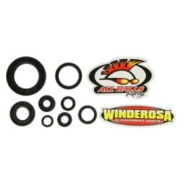 Set garnituri pentru motor WINDEROSA