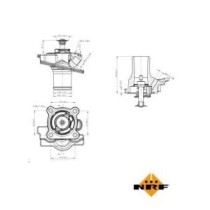 Termostat,lichid racire NRF