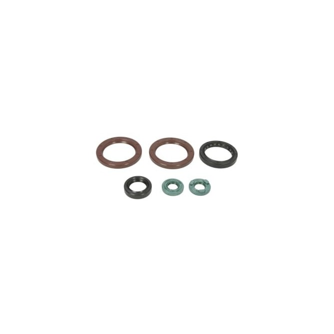 Set garnituri pentru motor WINDEROSA