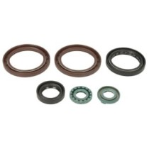 Set garnituri pentru motor WINDEROSA