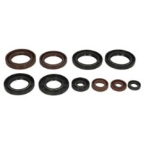 Set garnituri pentru motor WINDEROSA