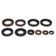 Set garnituri motor WINDEROSA Engine gaskets set Motor > Garnituri de motor-set