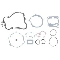 Set garnituri complet, motor WINDEROSA