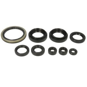 Set garnituri pentru motor WINDEROSA