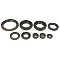 Set garnituri pentru motor WINDEROSA