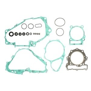 Set garnituri complet, motor WINDEROSA