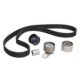 Set curea de distributie SKF