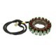 Stator de alternator ARROWHEAD