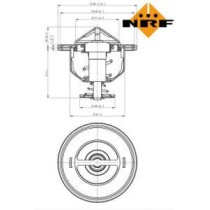 Termostat,lichid racire NRF