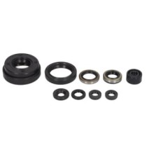 Set garnituri pentru motor WINDEROSA