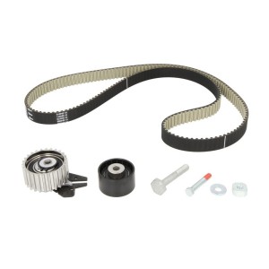 Set curea de distributie SKF