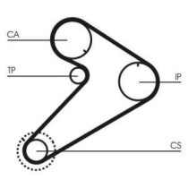 Curea de distributie CONTITECH