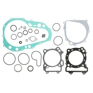 Set garnituri complet, motor WINDEROSA