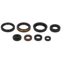 Set garnituri pentru motor WINDEROSA