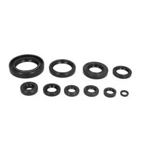 Set garnituri pentru motor WINDEROSA