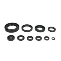 Set garnituri pentru motor WINDEROSA