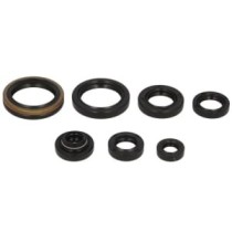 Set garnituri pentru motor WINDEROSA