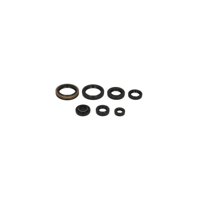 Set garnituri pentru motor WINDEROSA