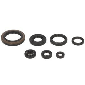 Set garnituri pentru motor WINDEROSA