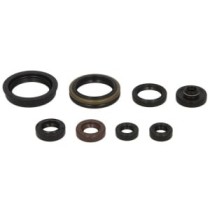 Set garnituri pentru motor WINDEROSA