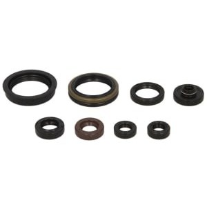 Set garnituri pentru motor WINDEROSA