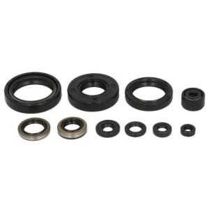 Set garnituri pentru motor WINDEROSA